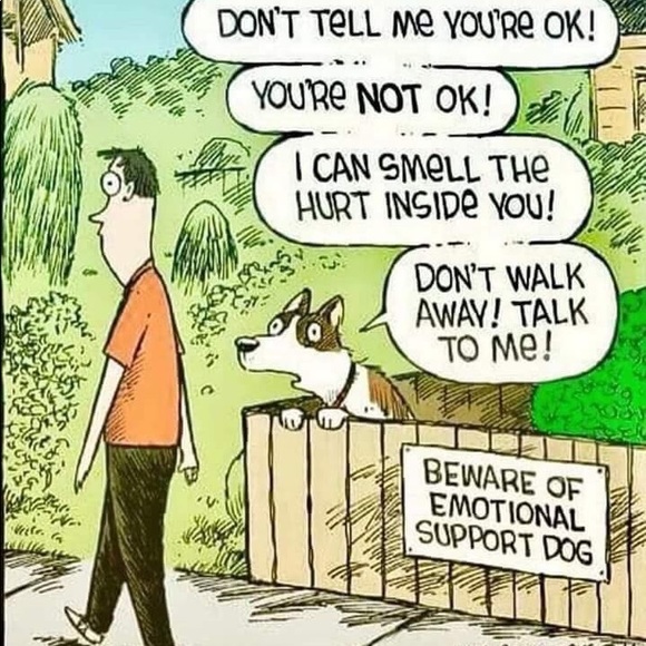 Everything must go! - Picture 5 of 8